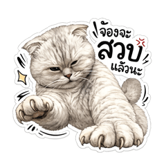 Miki_20260608110404