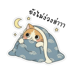 Orange Cat Cute Tabby NO.1