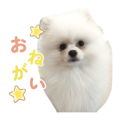 SAKI_20260806112616
