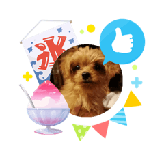 KEN_20260806115324