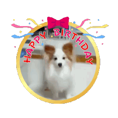 Yuji_20260806190854