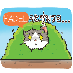 FADEL cheeky cat e