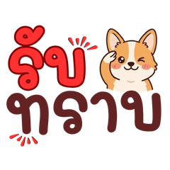 Cute Animal Office Daily Chat