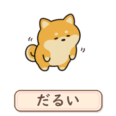 Lazy Shiba!