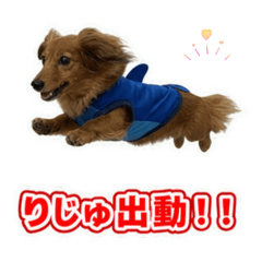 RISA_20260806163529