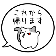 VARIOUS CATS/everyday life