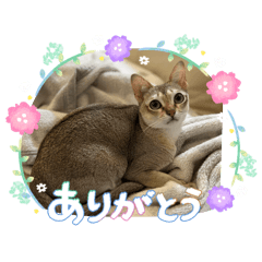LaLa_20260806102046