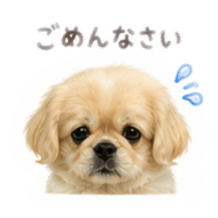 hinataLion_20260806161845