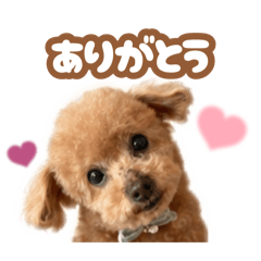 Riko_20260806164508