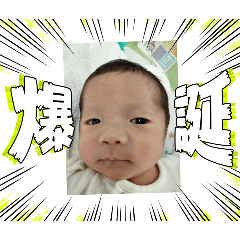 PAPA_20260806175559