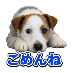 Naohiro Sekiya_20260806175646
