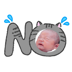 MMM_20260806181858