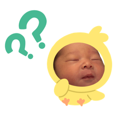 kinako_20260806181949