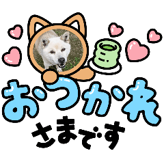 shina_20260806184806