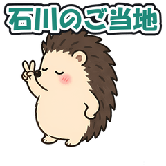 Ishikawa Local: Tsundere Hedgehog