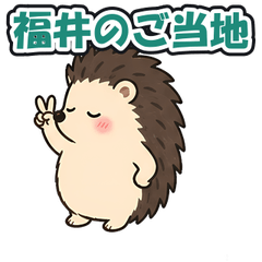 Fukui Local: Tsundere Hedgehog