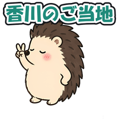 Kagawa Local: Tsundere Hedgehog