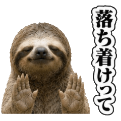 Sassy Sloth