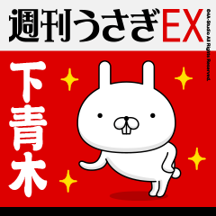 "Shimoaoki" Name Feature - Showa