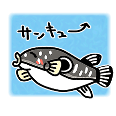 Gentle Tiger Pufferfish
