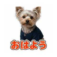 RYON_20260806180815