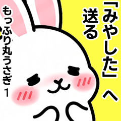 For Miyashita - Moffuri maru Rabbit 1