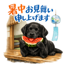 Black Labrador Stickers for Summer