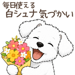 Gentle White Schnauzer Stickers
