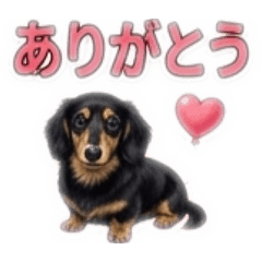AMpapa_2929