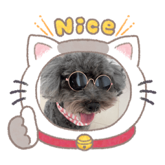 Chi sticker2026