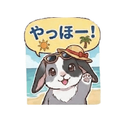 tontonmaru_20260806194640