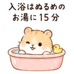 Autonomic Nervous System Hamster Edition
