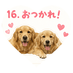 smmrknk_20260806191721