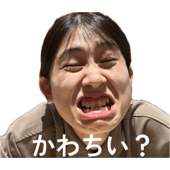 shu_20260806191631