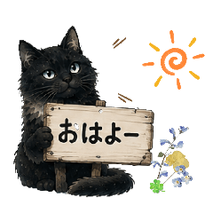 black.cat_20260806192948
