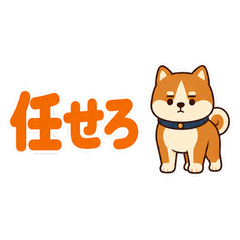 Quiet Akita's Few Words