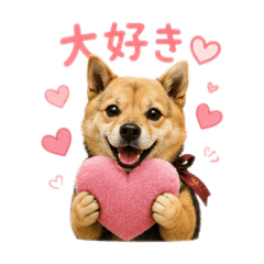 Niki_20260806192552