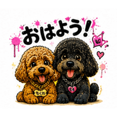 poodle_20260806193733