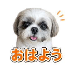 k-house_20260806210718