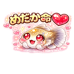 メダカ命