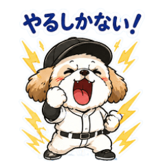 Highschool baseball of Shih Tzu 2