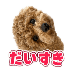 Latte_20260806195521