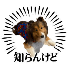 nikkou to lien