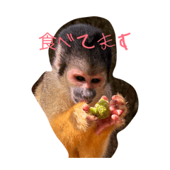 REIMARU_20260806212610