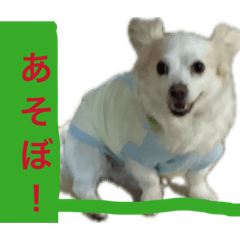 kotoa_20260806212712