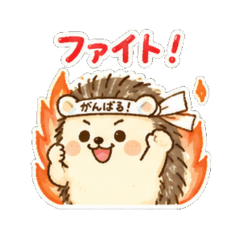Happy Hedgehog Daily