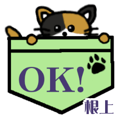 Negami's Pocket Cat's