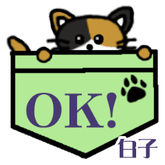 Shirako's Pocket Cat's