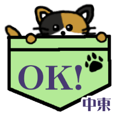 Nakahigashi's Pocket Cat's