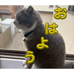 Hana_20260806202711